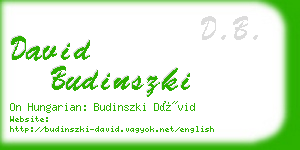 david budinszki business card